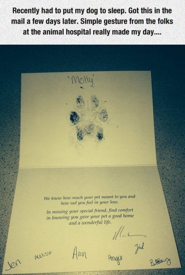 Veterinarian - Recently had to put my dog to sleep. Got this in the mail a few days later. Simple gesture from the folks at the animal hospital really made my day.... "Molly We know how much your pet meant to you and how sad you feel in your loss. In miss