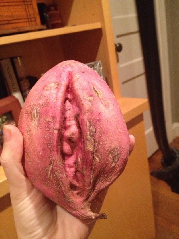 14 Things That Look Like Vaginas But Aren’t Actually Vaginas