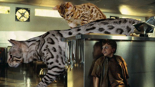 This Hilarious Mashup Of Cats And Jurassic Park Is Purrrfect!