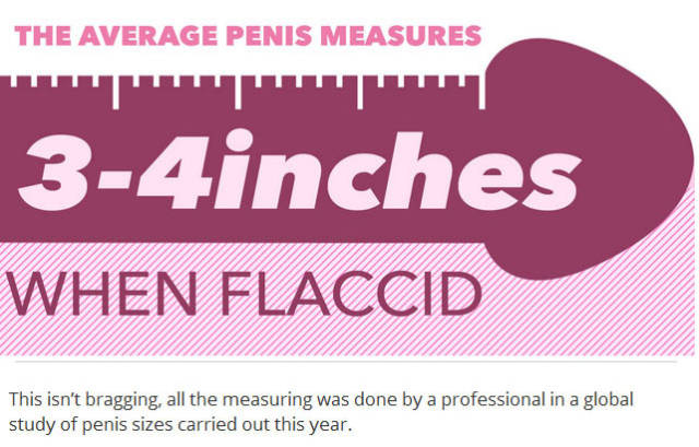 11 Things You Probably Don't Know About Penises