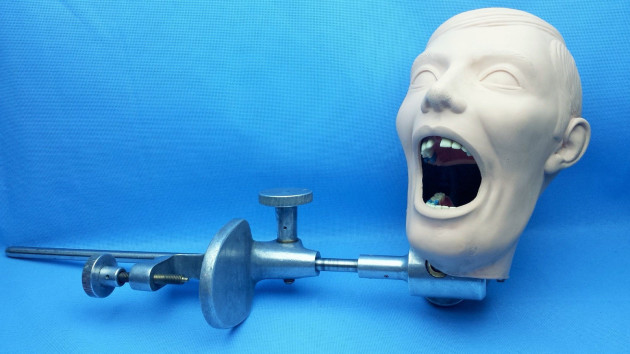 These Dentist Training Tools Are The Most Horrifying Things Ever