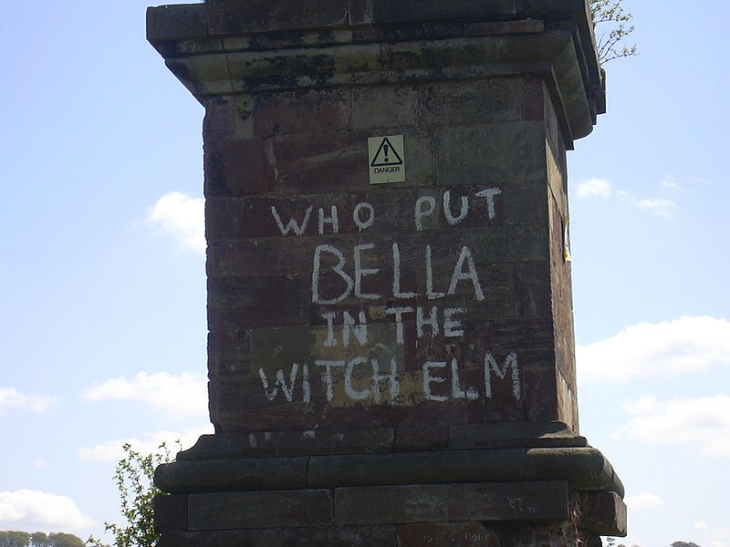 Who put Bella in the Wych Elm?-
A woman’s body is found in a tree, years later with no leads on her identity, graffiti asking “Who put Bella in the Wych Elm?” appears in the town, is still pretty much the only lead in the case