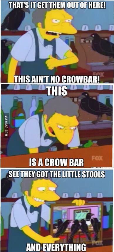 pun best puns ever - That'S It Get Them Out Of Here! This Ain'T No Crowbar! This Ut Via 9GAG.Com Fox Is A Crow Bar See They Got The Little Stools And Everything