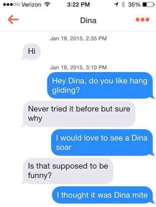 pun Pun - .00 Verizon 1 36%D Dina , Hi , Hey Dina, do you hang gliding? Never tried it before but sure why I would love to see a Dina soar Is that supposed to be funny? I thought it was Dina mite