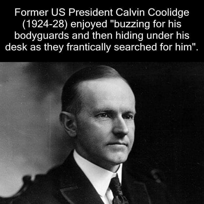 calvin coolidge - Former Us President Calvin Coolidge 192428 enjoyed "buzzing for his bodyguards and then hiding under his desk as they frantically searched for him".