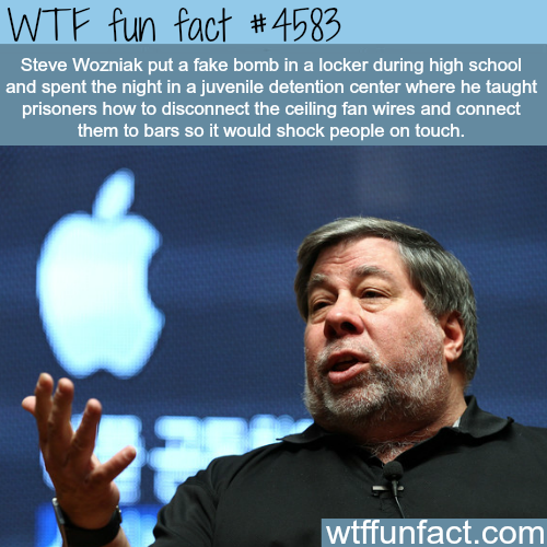 apple co founder steve wozniak - Wtf fun fact Steve Wozniak put a fake bomb in a locker during high school and spent the night in a juvenile detention center where he taught prisoners how to disconnect the ceiling fan wires and connect them to bars so it 