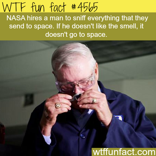 truth about diamonds fun fact - Wtf fun fact Nasa hires a man to sniff everything that they send to space. If he doesn't the smell, it doesn't go to space. wtffunfact.com