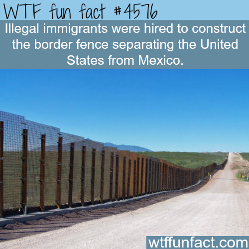fence - Wtf fun fact Illegal immigrants were hired to construct the border fence separating the United States from Mexico. wtffunfact.com