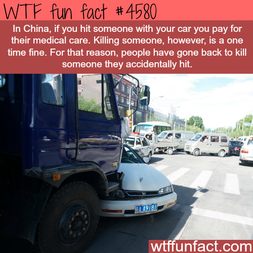 wtf facts about cars - Wtf fun fact In China, if you hit someone with your car you pay for their medical care. Killing someone, however, is a one time fine. For that reason, people have gone back to kill someone they accidentally hit. ZAA9781 wtffunfact.c