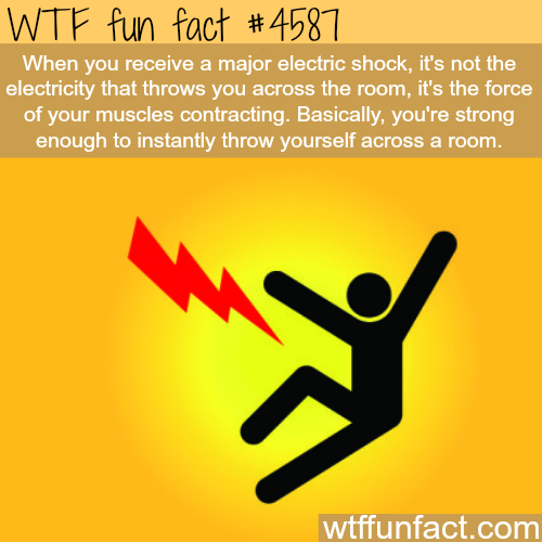 fun fact science - Wtf fun fact When you receive a major electric shock, it's not the electricity that throws you across the room, it's the force of your muscles contracting. Basically, you're strong enough to instantly throw yourself across a room. wtffu