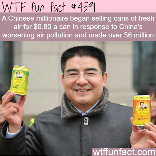 china canned air - Wtf fun fact A Chinese millionaire began selling cans of fresh air for $0.80 a can in response to China's worsening air pollution and made over $6 million wtffunfact.com