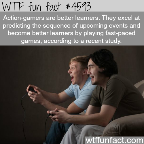 memes on gamers - Wtf fun fact Actiongamers are better learners. They excel at predicting the sequence of upcoming events and become better learners by playing fastpaced games, according to a recent study. wtffunfact.com