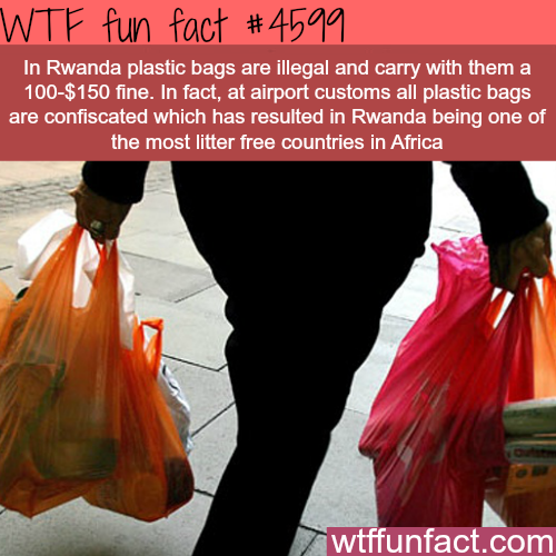 plastic bags philippines - Wtf fun fact In Rwanda plastic bags are illegal and carry with them a 100$150 fine. In fact, at airport customs all plastic bags are confiscated which has resulted in Rwanda being one of the most litter free countries in Africa 