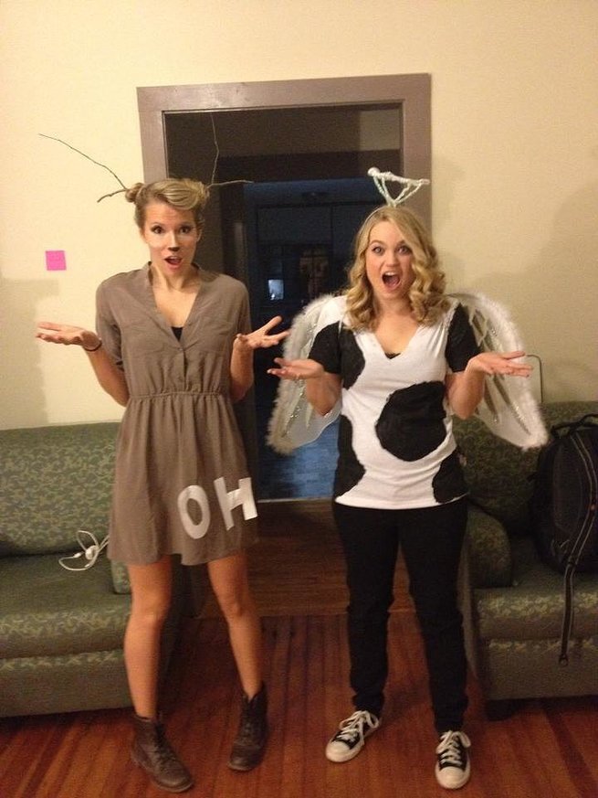 Oh Deer and Holy Cow