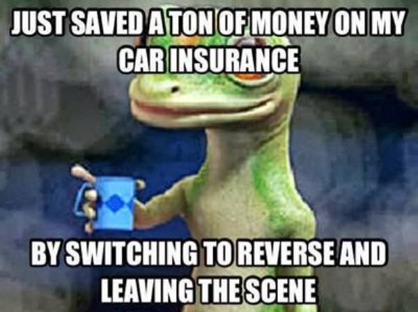 funny geico memes - Just Saved A Ton Of Money On My Car Insurance By Switching To Reverse And Leaving The Scene