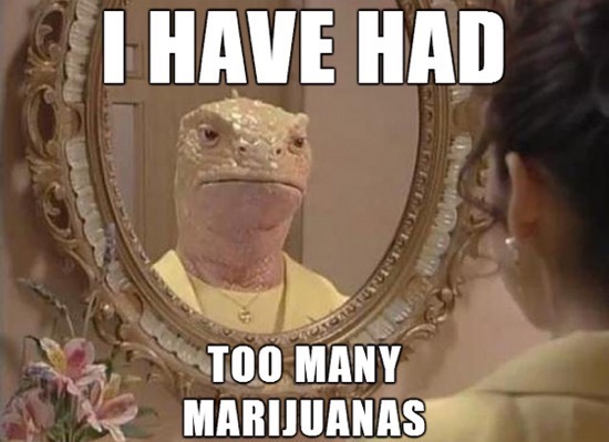 ugly mirror - I Have Had Too Many Marijuanas