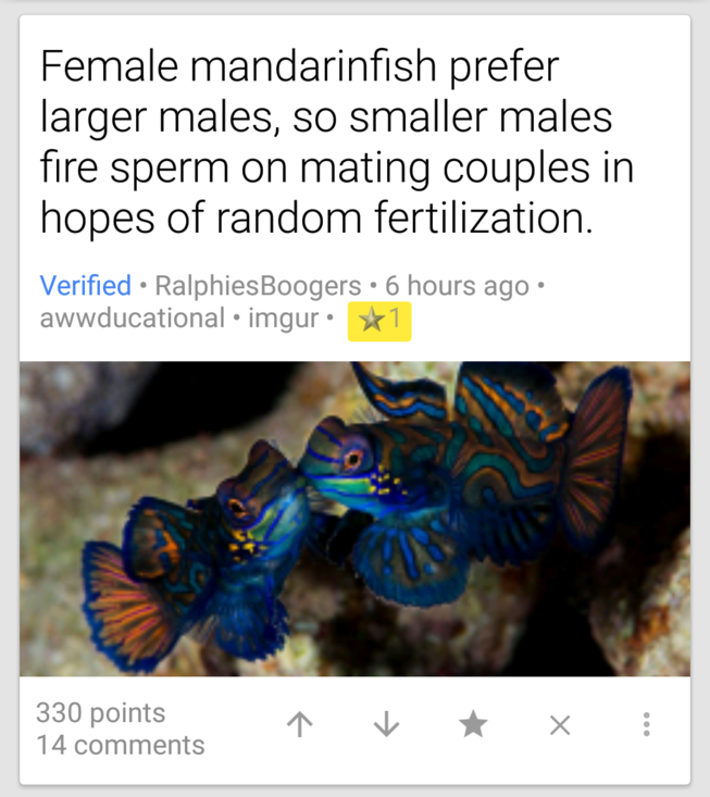 Mandarinfish - Female mandarinfish prefer larger males, so smaller males fire sperm on mating couples in hopes of random fertilization. Verified RalphiesBoogers 6 hours ago awWducational imgur 1 330 points 14 1 1 X