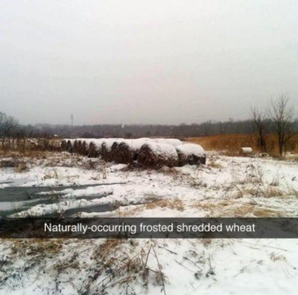 random pic snow - Naturallyoccurring frosted shredded wheat