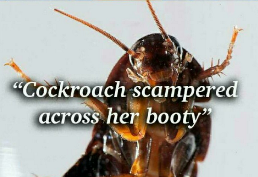 cockblockroach