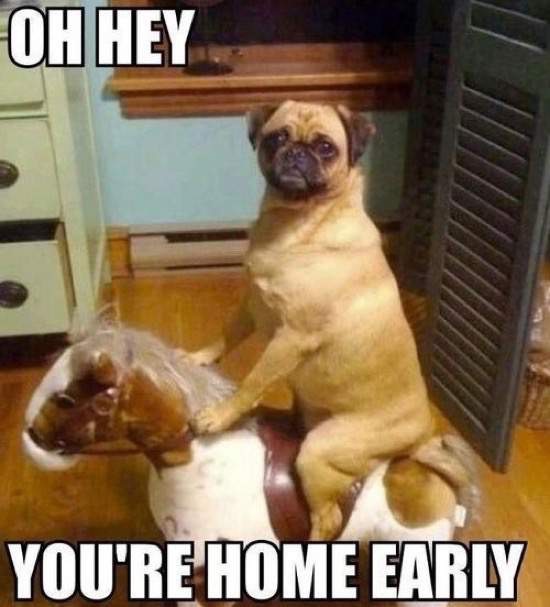 you re home early - Oh Hey You'Re Home Early