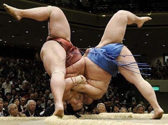 sumo wrestler porn