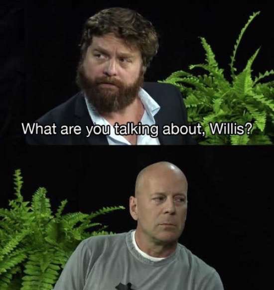 zach galifianakis bruce willis - What are you talking about, Willis?