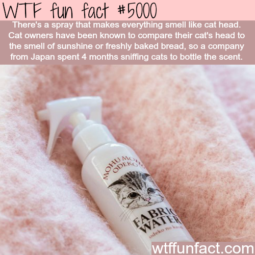 These 30 Facts Are Full Of WTF