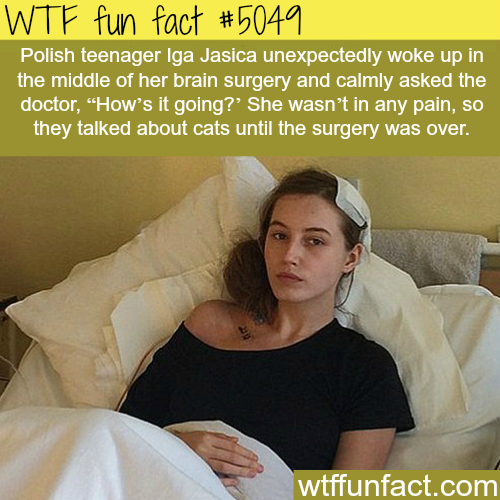 These 30 Facts Are Full Of WTF