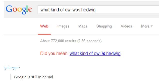 google - what kind of owl was hedwig Web Images Maps Shopping Videos More About 772,000 results 0.36 seconds Did you mean what kind of owl is hedwig lydiargnt Google is still in denial