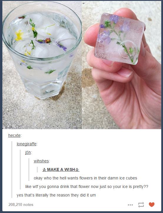 hecxte lonegiraffe j5h wihshes A Make A Wisha okay who the hell wants flowers in their damn ice cubes wtf you gonna drink that flower now just so your ice is pretty?? yes that's literally the reason they did it um 208,210 notes