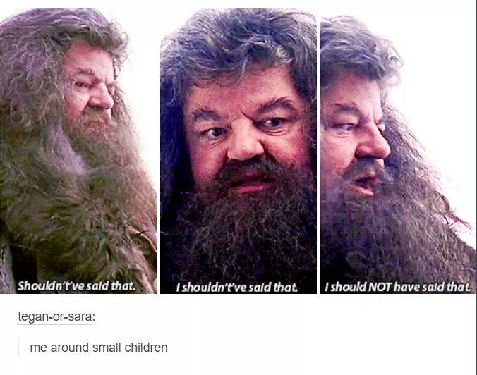 memes harry potter hagrid - Shouldn't've said that I shouldn't've said that should Not have said that teganorsara me around small children