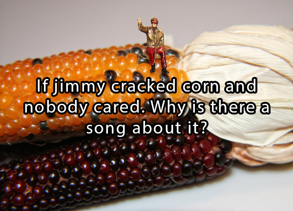 questions that hurt your brain - If jimmy cracked corn and nobody cared. Why is there a song about it?