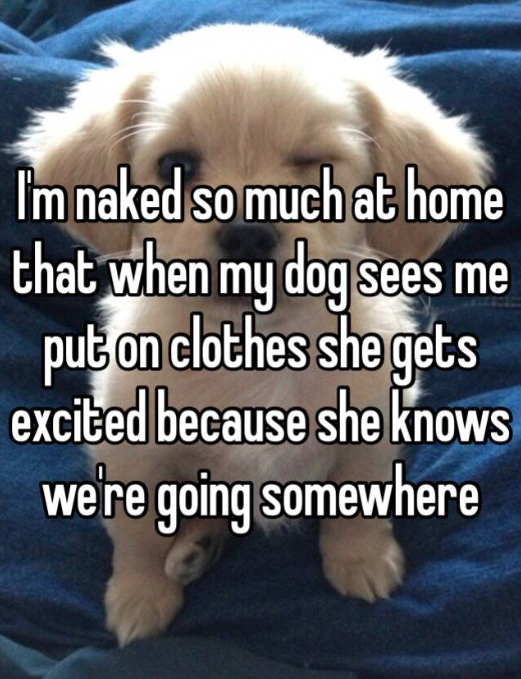 photo caption - I'm naked so much at home that when my dog sees me put on clothes she gets excited because she knows we're going somewhere