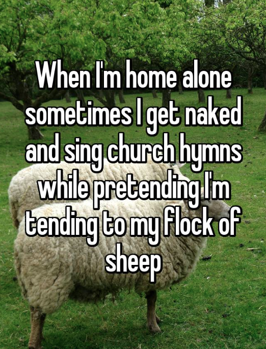 sheep - When I'm home alone sometimes I get naked and sing church hymns while pretending Im tending to my flock of sheep
