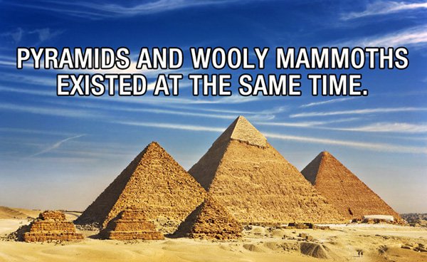 35 Unusual and Unique Facts To Tickle Your Noodle