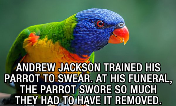 35 Unusual and Unique Facts To Tickle Your Noodle