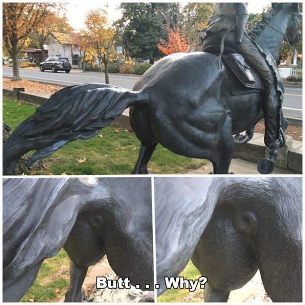 horse genitalia - Butt ... Why?