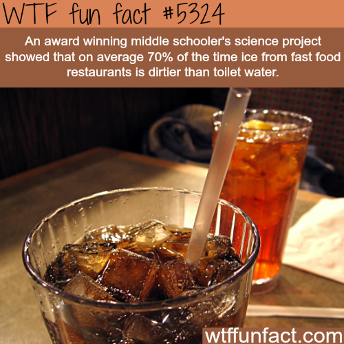 wtf facts - wtf fun facts fast food - Wtf fun fact An award winning middle schooler's science project showed that on average 70% of the time ice from fast food restaurants is dirtier than toilet water. wtffunfact.com