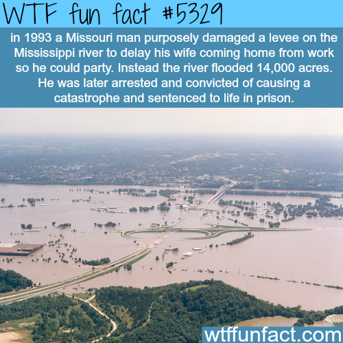 wtf facts - 1993 missouri flood - Wtf fun fact in 1993 a Missouri man purposely damaged a levee on the Mississippi river to delay his wife coming home from work so he could party. Instead the river flooded 14,000 acres. He was later arrested and convicted