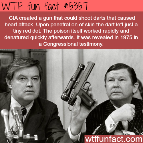 wtf facts - cia heart attack gun - Wtf fun fact Cia created a gun that could shoot darts that caused heart attack. Upon penetration of skin the dart left just a tiny red dot. The poison itself worked rapidly and denatured quickly afterwards. It was reveal