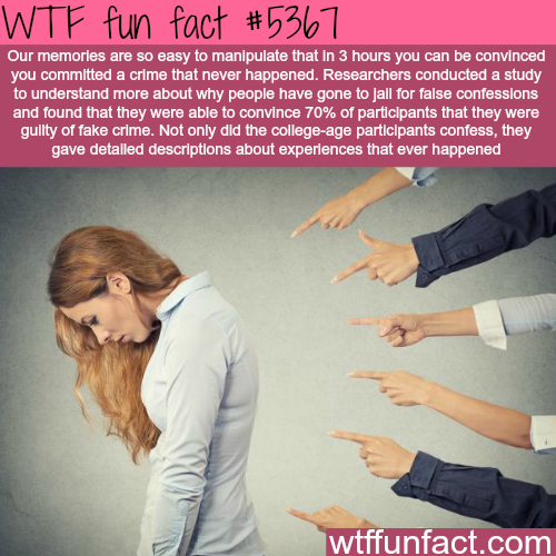 wtf facts - person judging - Wtf fun fact Our memories are so easy to manipulate that in 3 hours you can be convinced you committed a crime that never happened. Researchers conducted a study to understand more about why people have gone to jail for false 