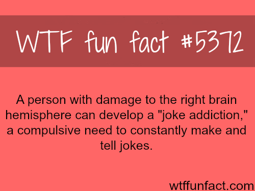 wtf facts - stadium australia - Wtf fun fact A person with damage to the right brain hemisphere can develop a "joke addiction," | a compulsive need to constantly make and tell jokes. wtffunfact.com