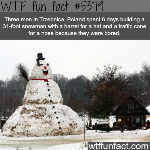 wtf facts - wtf fun facts poland - Wtf fun fact Three men in Trzebnica, Poland spent 6 days building a 31foot snowman with a barrel for a hat and a traffic cone for a nose because they were bored. wtffunfact.com