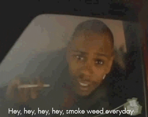 420 pics and memes - person - Hey, hey, hey, hey, smoke weed everyday
