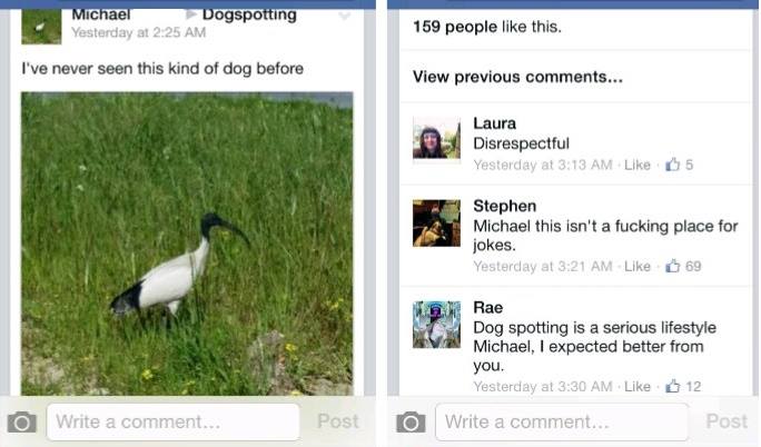 dog spotting meme - Michael Dogspotting Yesterday at 2.25 Am 159 people this. I've never seen this kind of dog before View previous ... Laura Disrespectful Yesterday at 05 Stephen Michael this isn't a fucking place for jokes. Yesterday at 69 Rae Dog spott