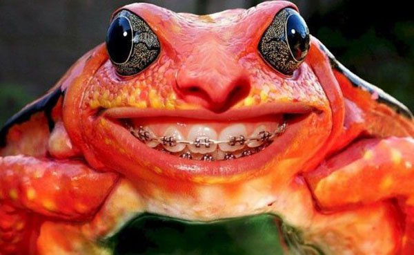 photoshop frog teeth