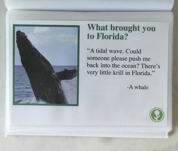 Fake Guest Book Left at Florida Airbnb is Almost Believable Because Florida