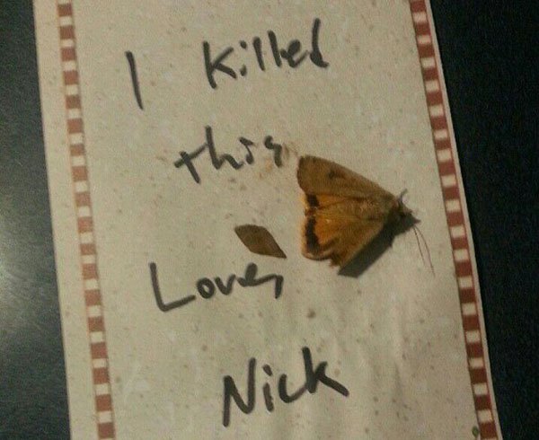 writing - I killed Lover Nick