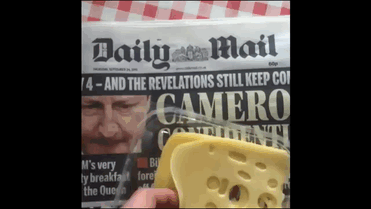 cheese of truth gif - 14 And The Revelations Still Keep Con Daily Mail Camero Nu M's very Bu ty breakfast fore the Queen