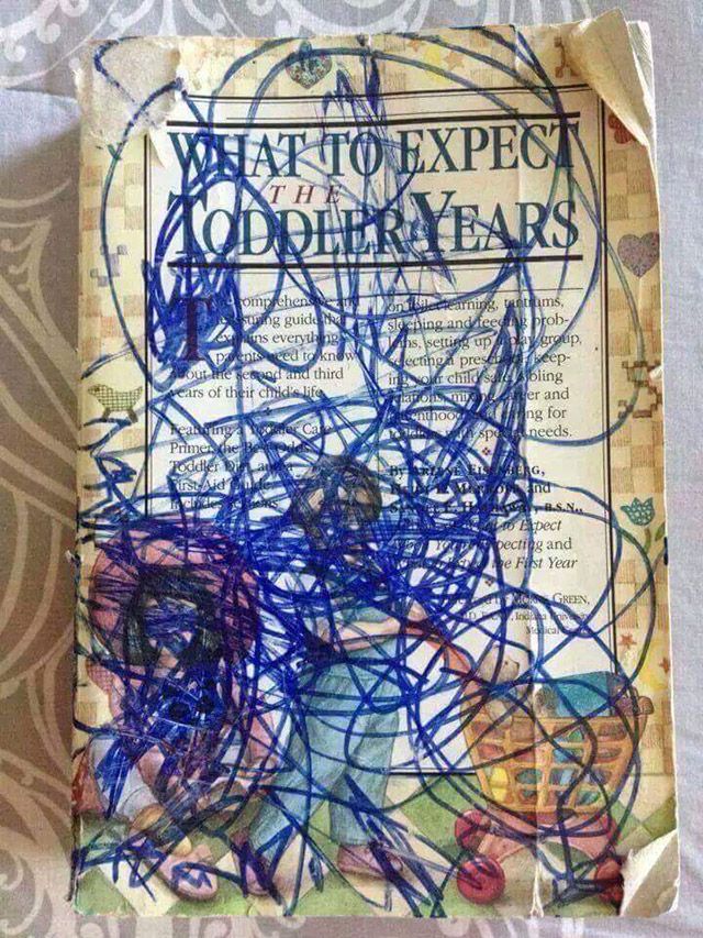 funny pic toddler years what to expect - What To Expectin Addler Years domprehensive on Wertearning, tams, uwing guide Ape se cing and feega prob o ns everything Un this setting up day group, Speiseed to know decting presekeep out inte seriod and third in